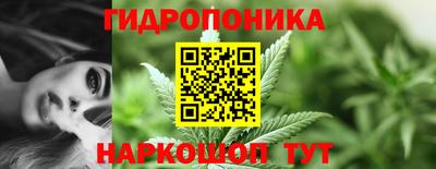 прущие крисы Вязьма