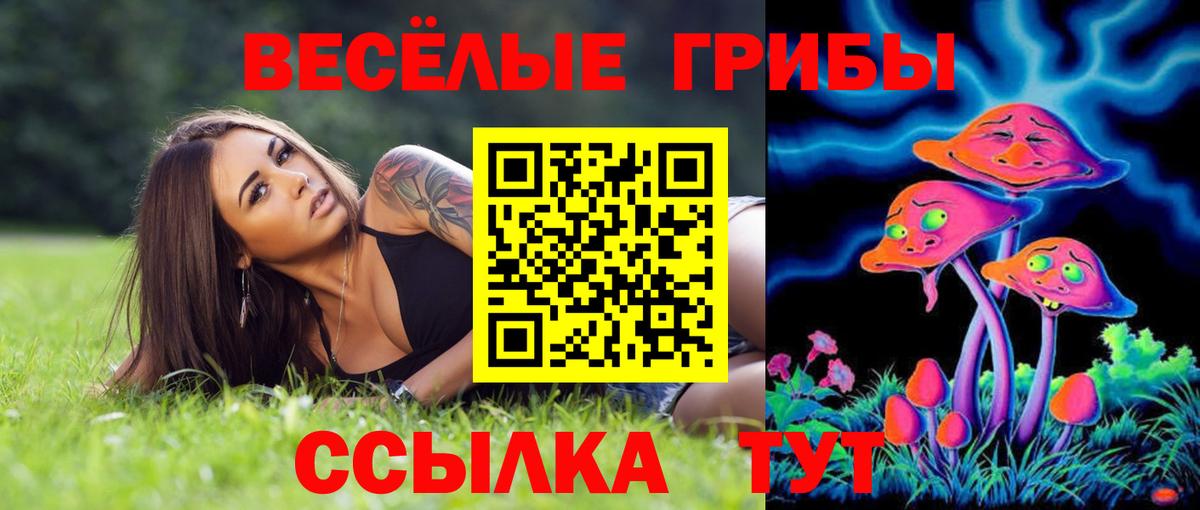 Галлюциногенные грибы Magic Shrooms Бузулук