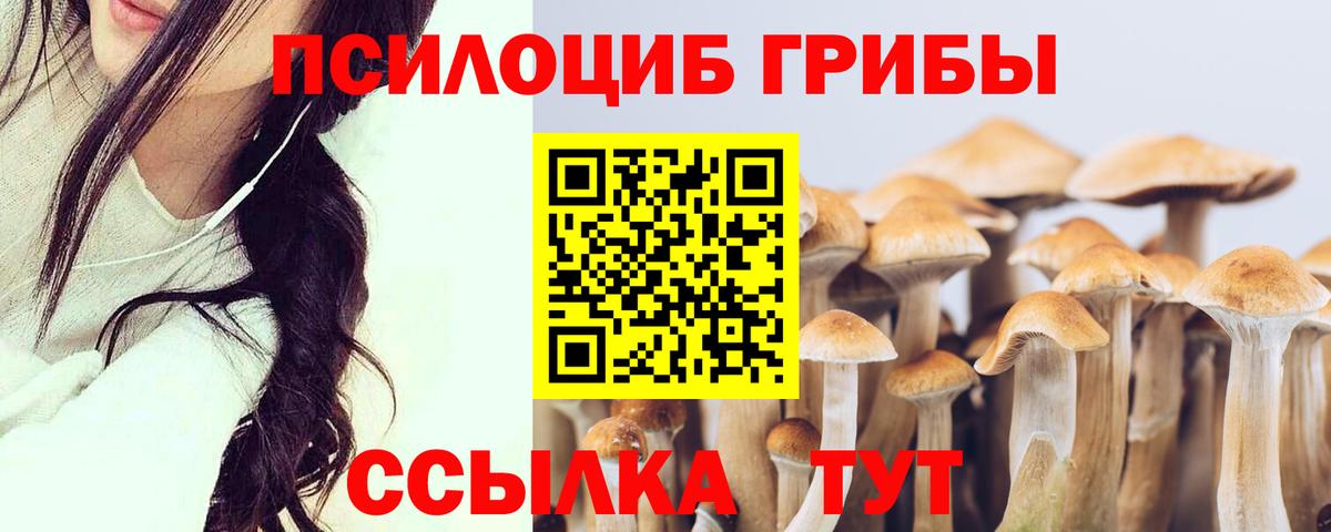 Псилоцибиновые грибы GOLDEN TEACHER  Вход с VPN  Бузулук 